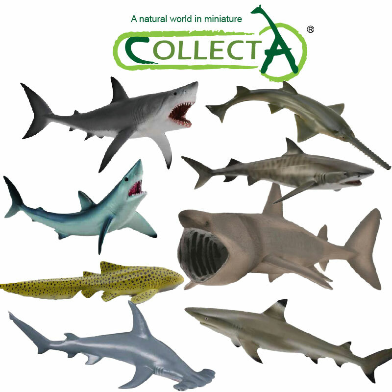 collectA英國高擬真動物模型☆正版模型～大白鯊/老虎鯊/鎚頭鯊/鋸鯊/尖