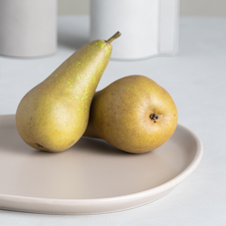 丹麥LINDDNA 炻器晚餐盤-暖沙