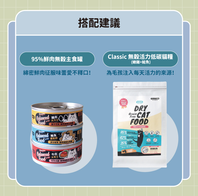 食物保鮮密封寵物碗搭配建議