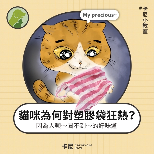 貓喜歡塑膠袋