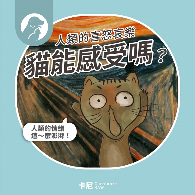 貓感受情緒