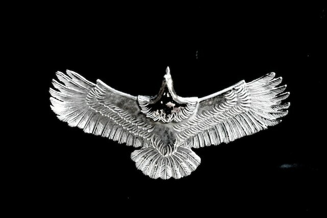 純銀 Light 系列老鷹