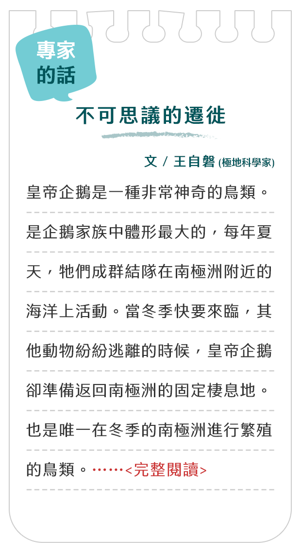 專家的話-不可思議的遷徙