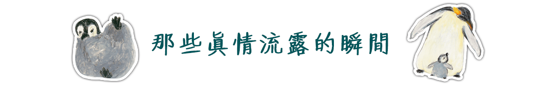 皇帝企鵝-那些真情流露的瞬間