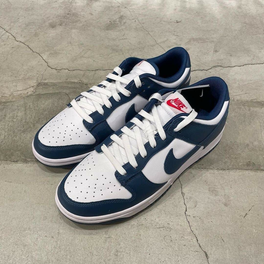 Nike Dunk Low Valerian Blue DD1391-400