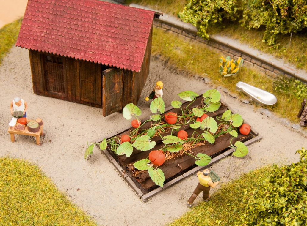 Noch 13219 HO規 Pumpkin 南瓜.8顆