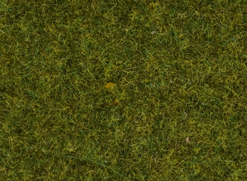 Noch 08361 綠色草纖維.20g