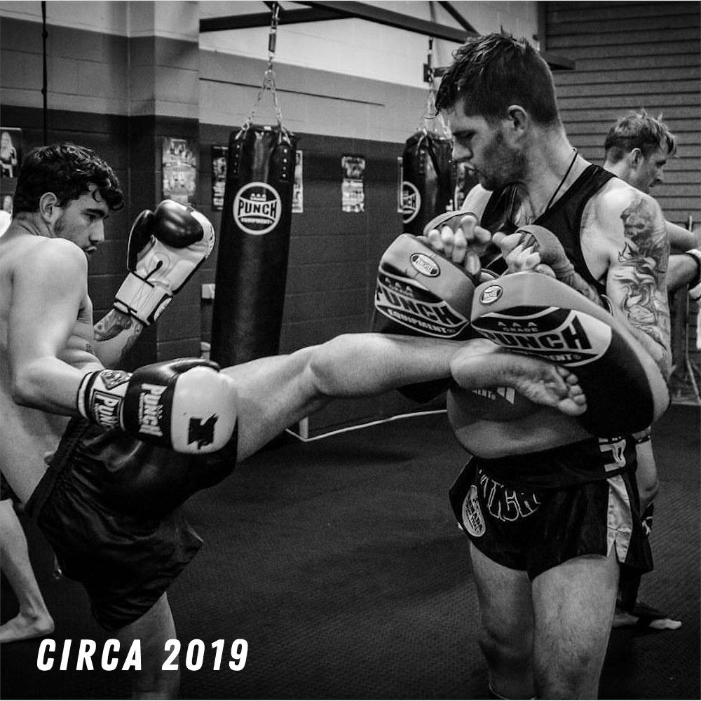 專業級曲型泰拳靶