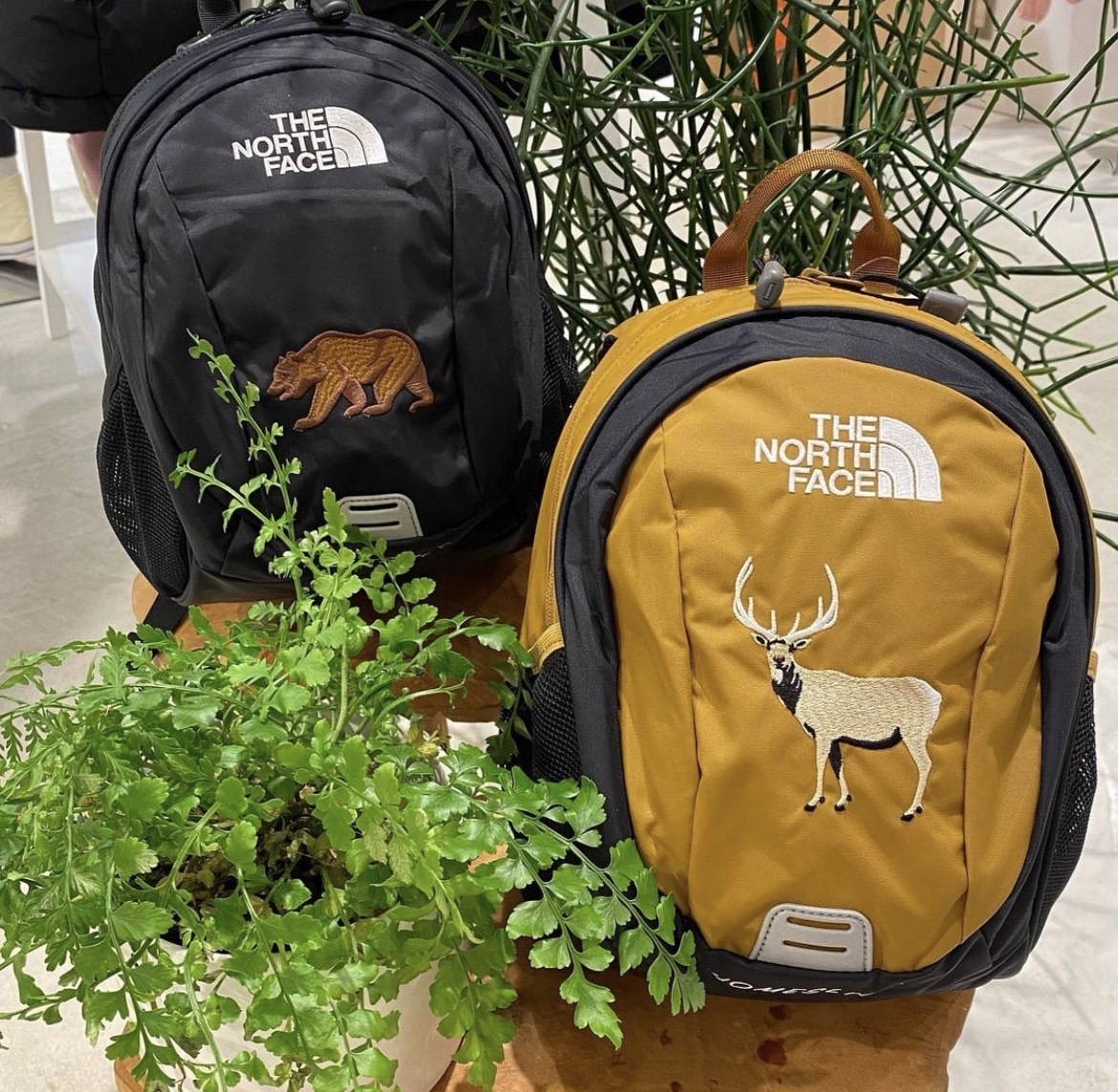 日本 TNF 兒童後背包 8L