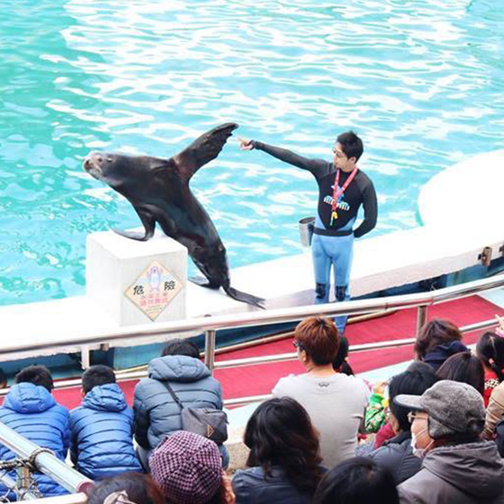【新北】野柳海洋世界 門票