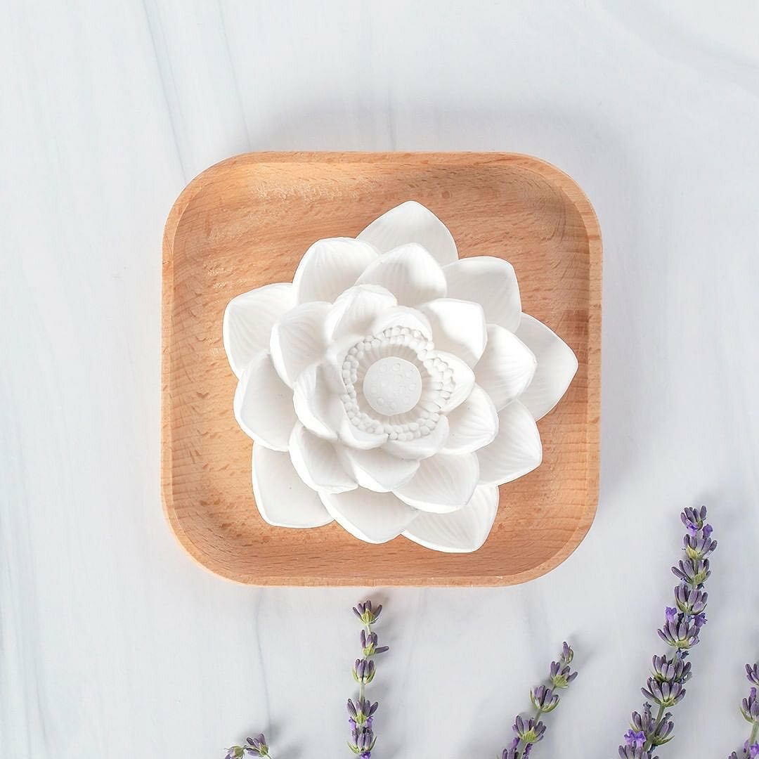 蓮花擴香石 | PLANT THERAPY