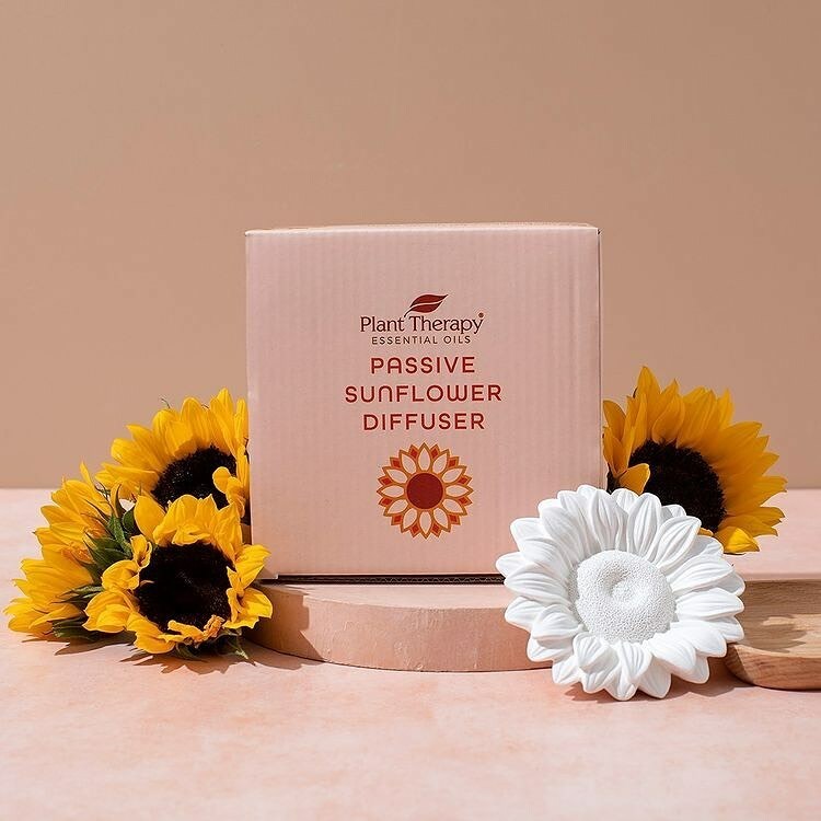 太陽花擴香石 | PLANT THERAPY