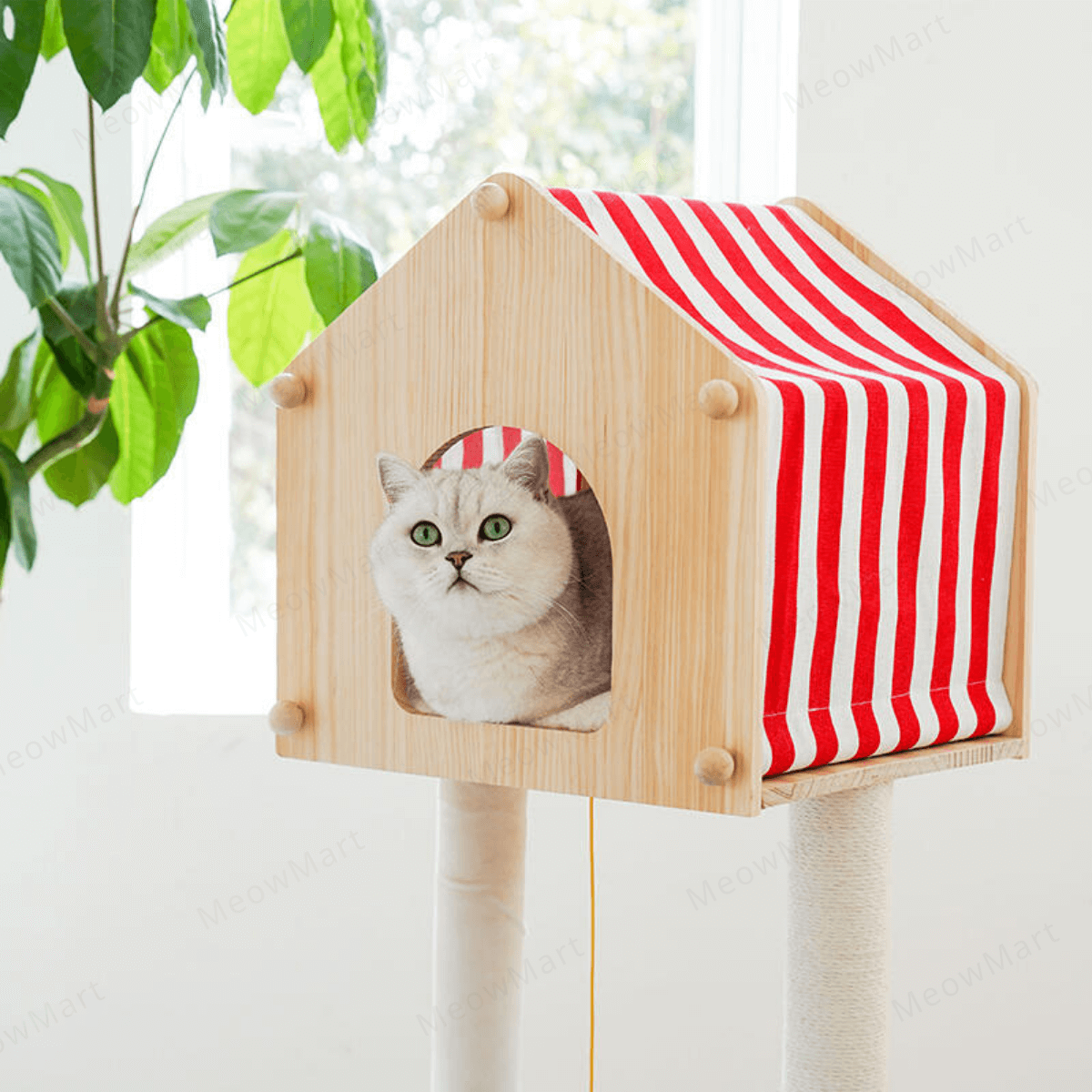 zeze 農場小屋貓爬架