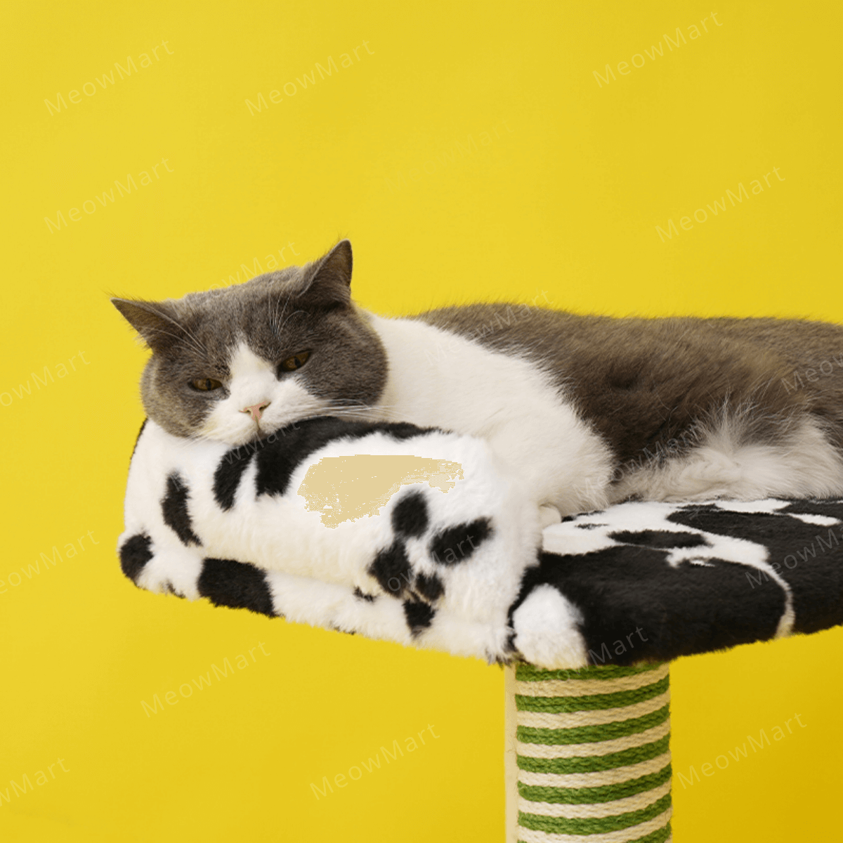 zeze 農場貓爬架