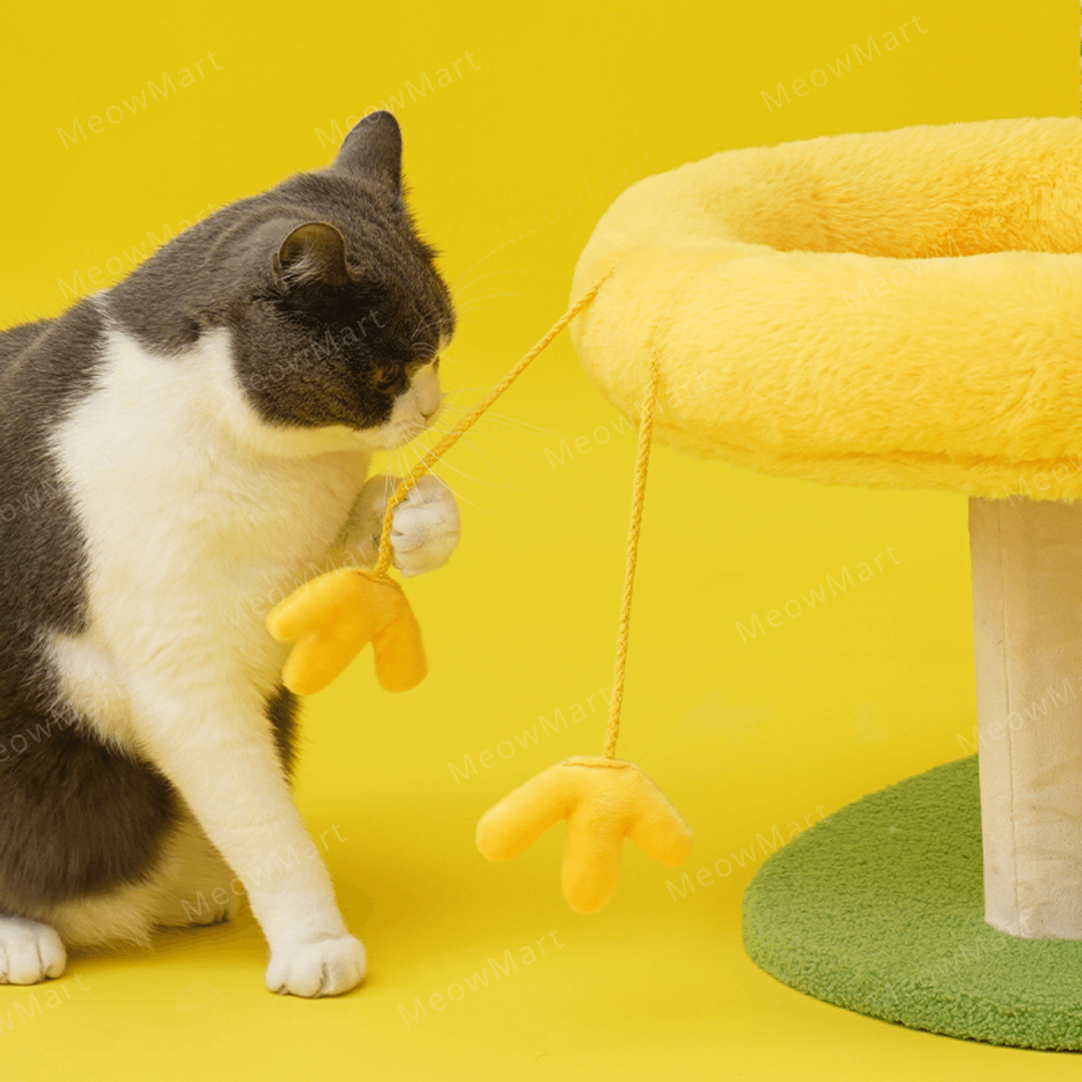 zeze 農場貓爬架