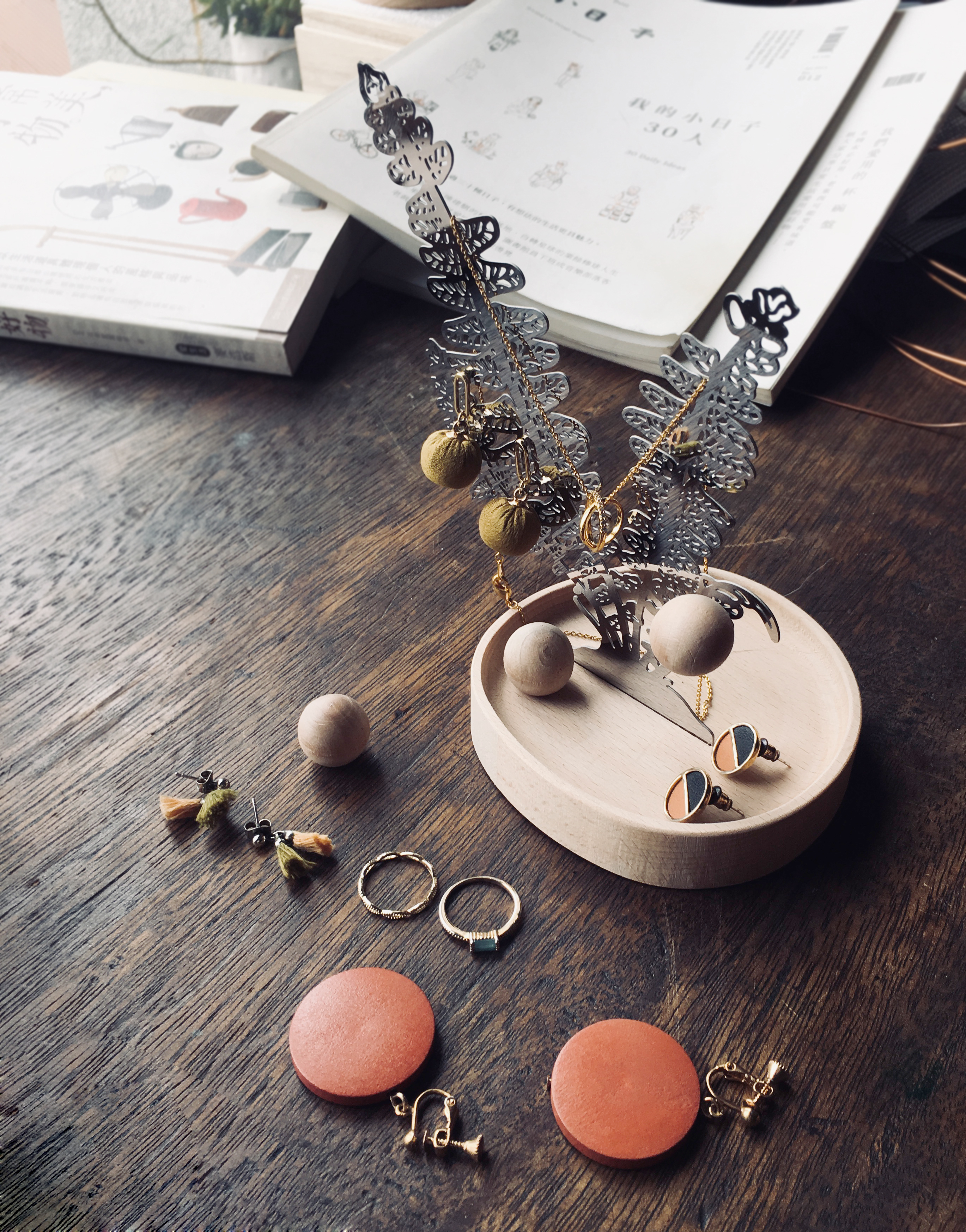 台灣 只有蕨｜蕨對置物掛架