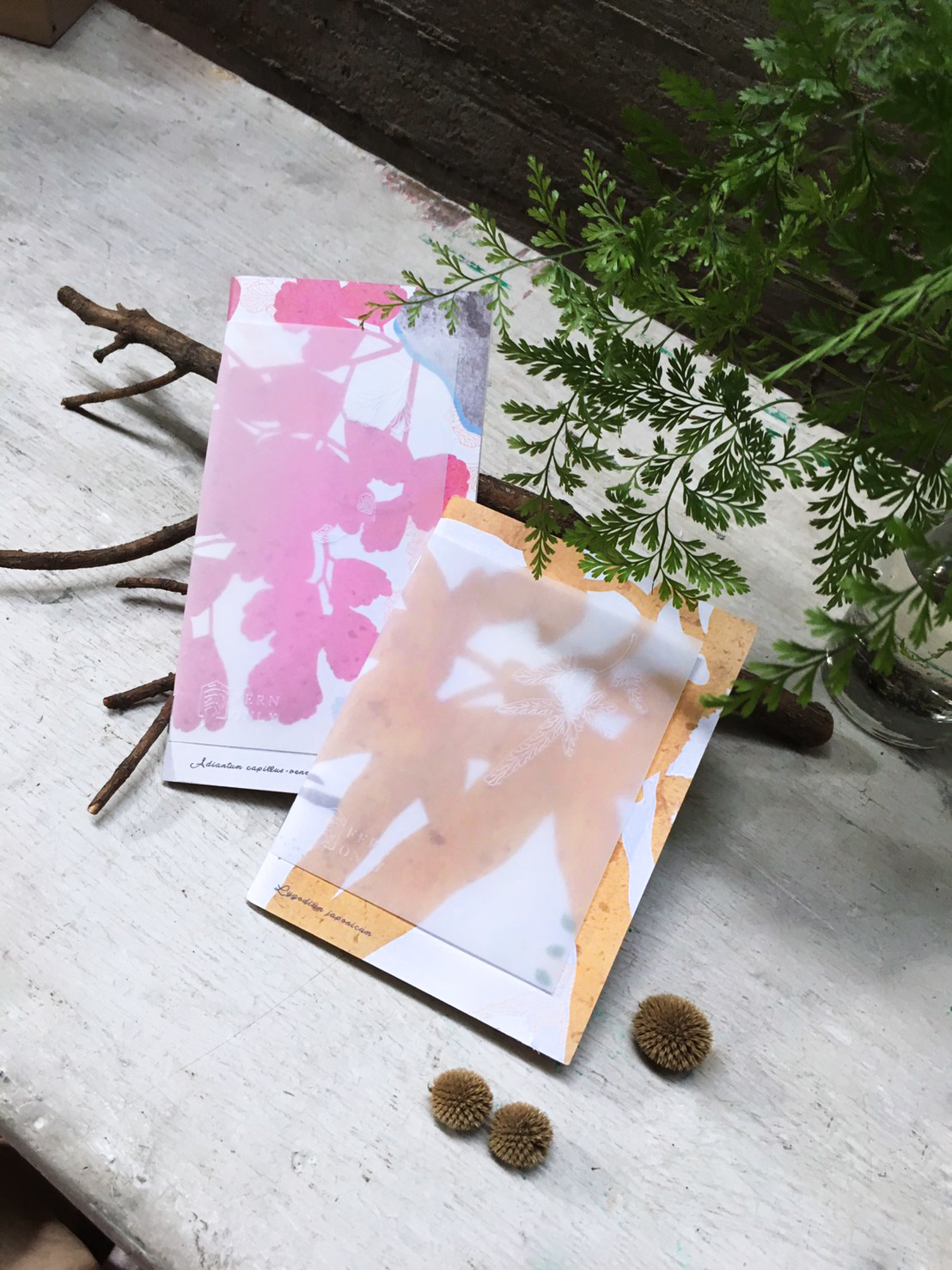 台灣 只有蕨｜蕨美筆記本