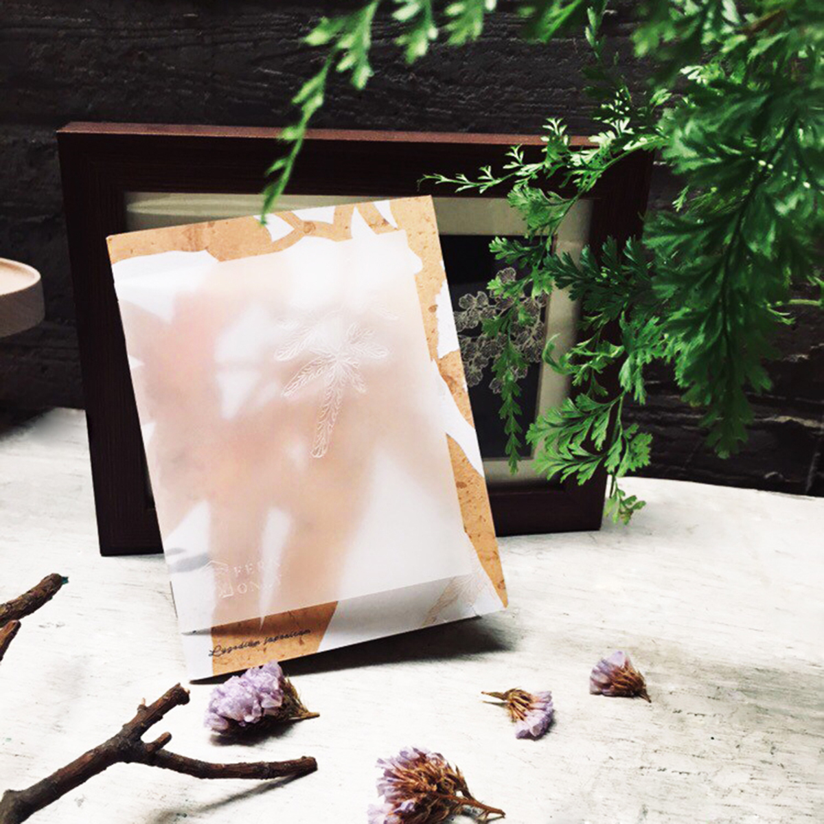 台灣 只有蕨｜蕨美筆記本