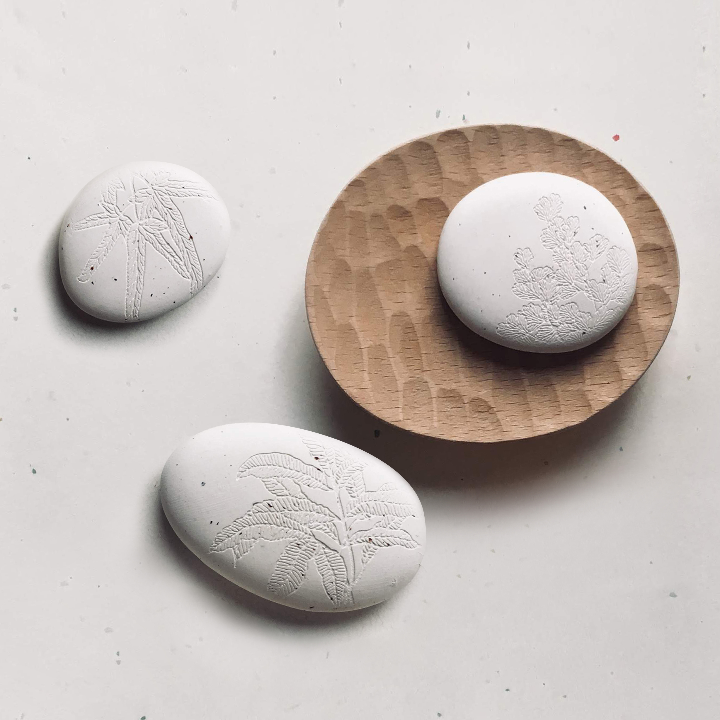 台灣 只有蕨｜蕨品香氛石