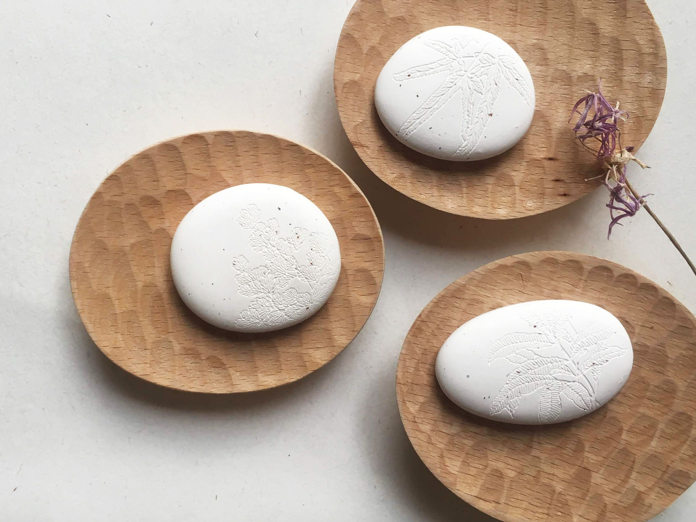 台灣 只有蕨｜蕨品香氛石