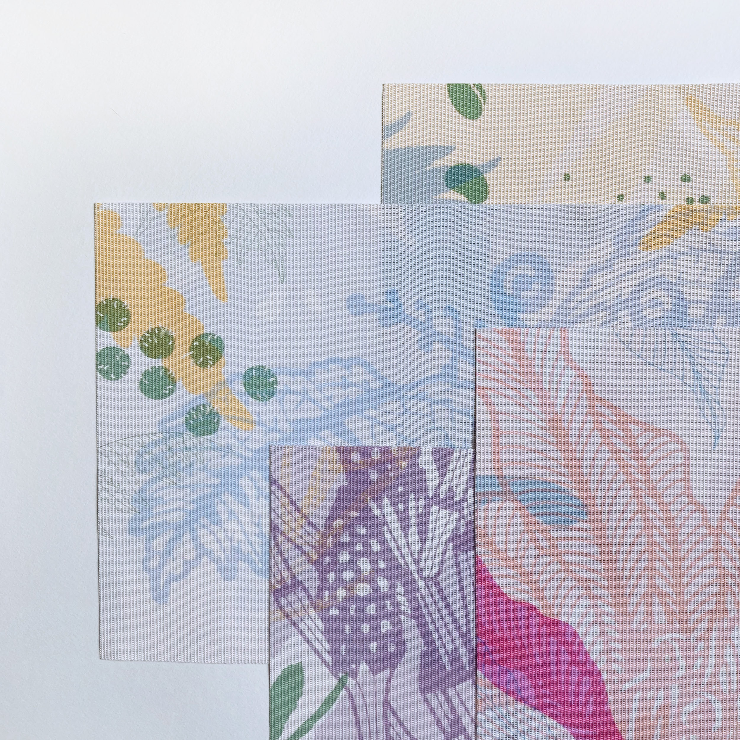 台灣 只有蕨｜蕨類風景餐桌墊 2.0