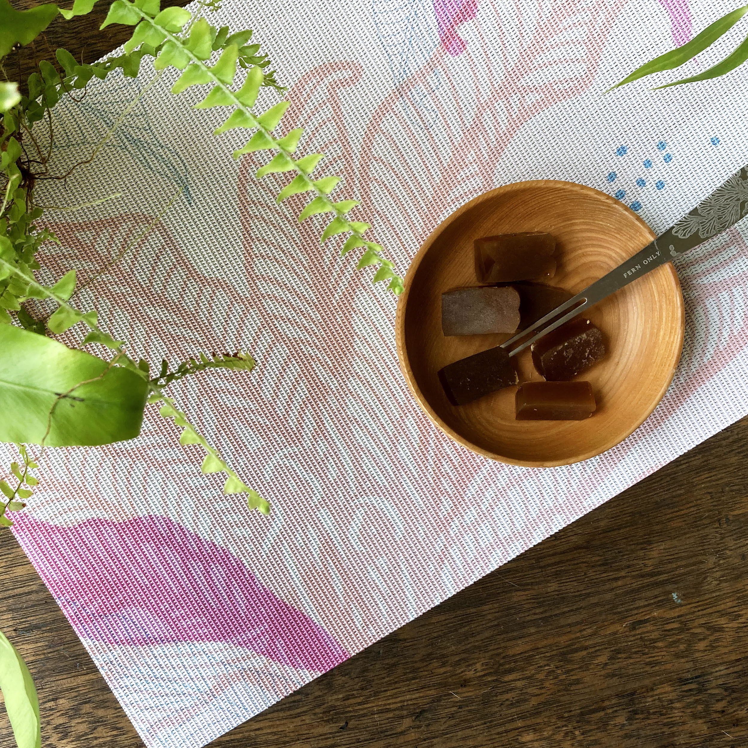 台灣 只有蕨｜蕨類風景餐桌墊 2.0