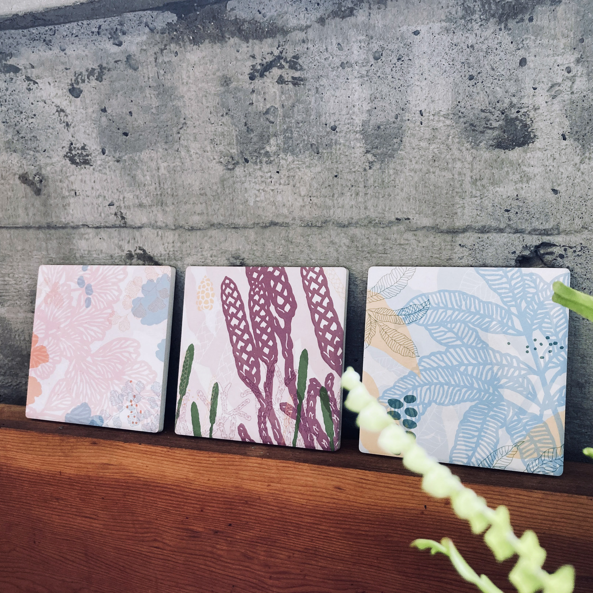 台灣 只有蕨｜蕨色陶瓷杯墊