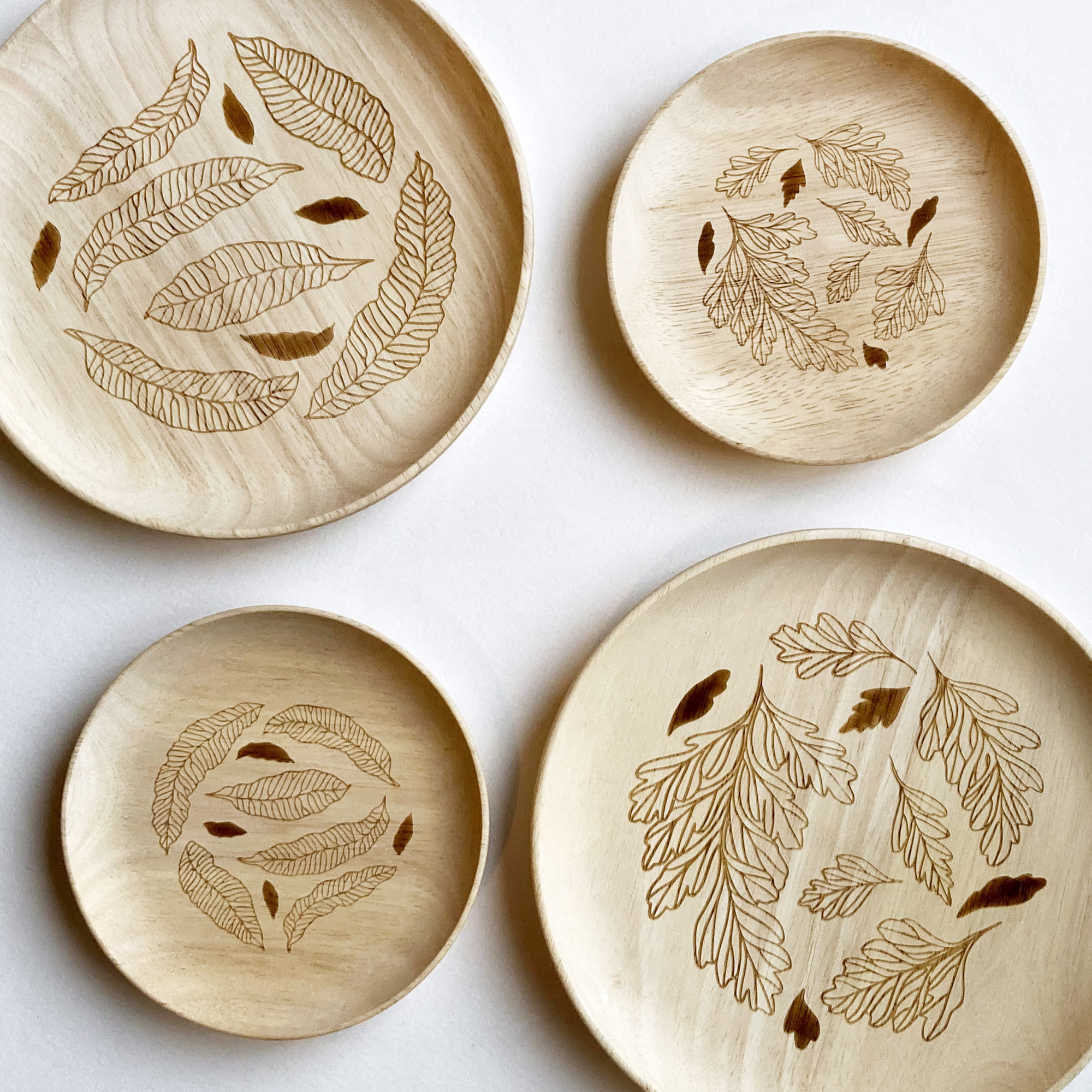 台灣 只有蕨｜蕨盛木盤