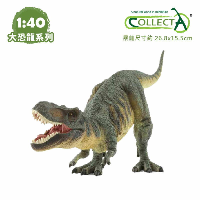 1：40珍藏展示大恐龍系列☆暴龍～collectA英國高擬真動物模型☆正版模型