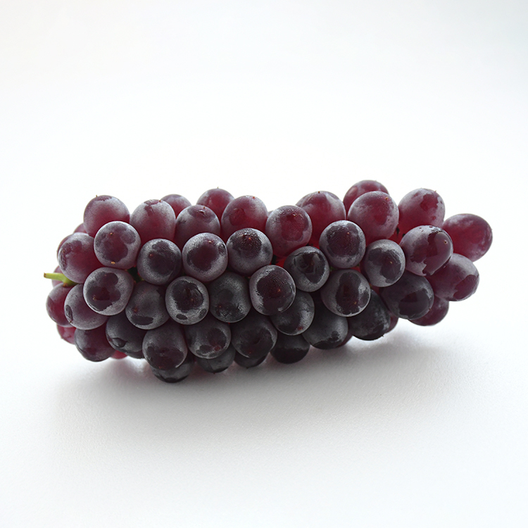 日本画　葡萄Ⅰ　葡萄Ⅱ 日本画 葡萄Ⅰ 葡萄Ⅱ Yahoo!オークション -「ぶどう」(版画