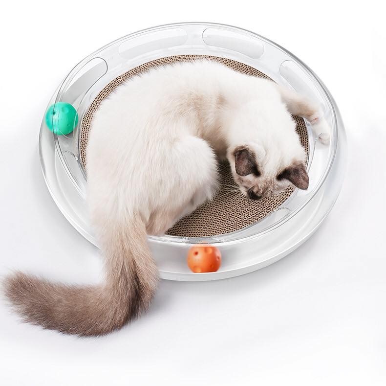 Petkit「Fun喵星遊樂場」