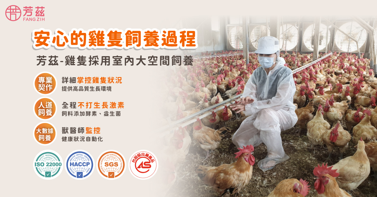 芳茲嚴選的紅羽土雞採用室內大空間人道飼養,提供高品質生長環境,全程不打生長激素,飼料添加酵素及益生菌,讓雞隻快樂健康成長,營養更加完整。