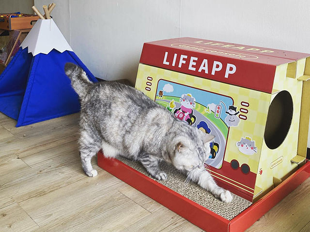 LIFEAPP貓抓遊戲機-啵啵寶貝