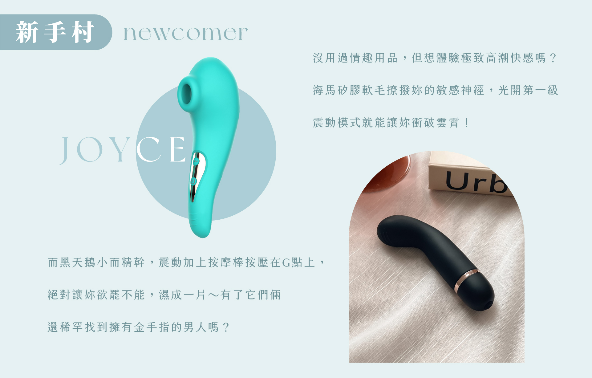 海馬寶寶 黑天鵝