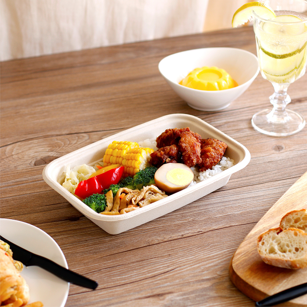 植纖餐盒 750ml 29號