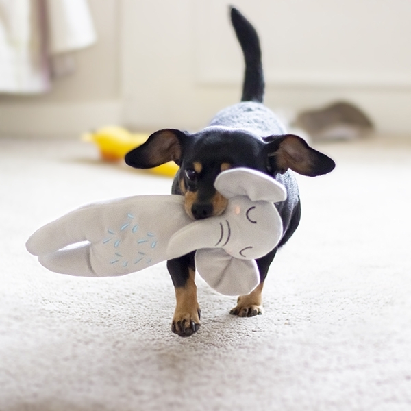 英國ROSEWOOD ECO環保系列 -大象