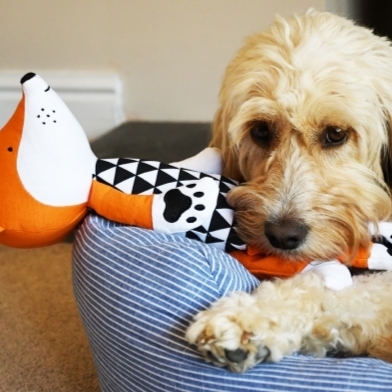 英國ROSEWOOD 玩具系列 -MR.FOX