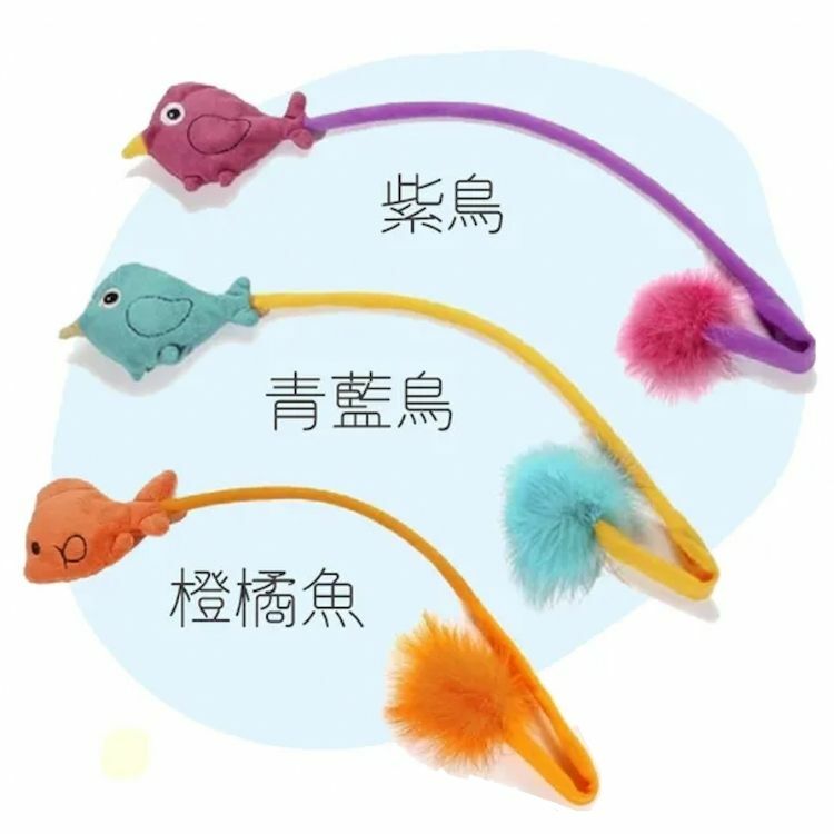 【Charming Pet】SnapCat