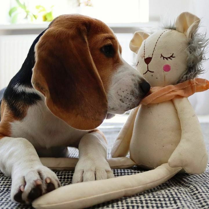 英國ROSEWOOD 玩具系列 -MRS SLEEPY LION