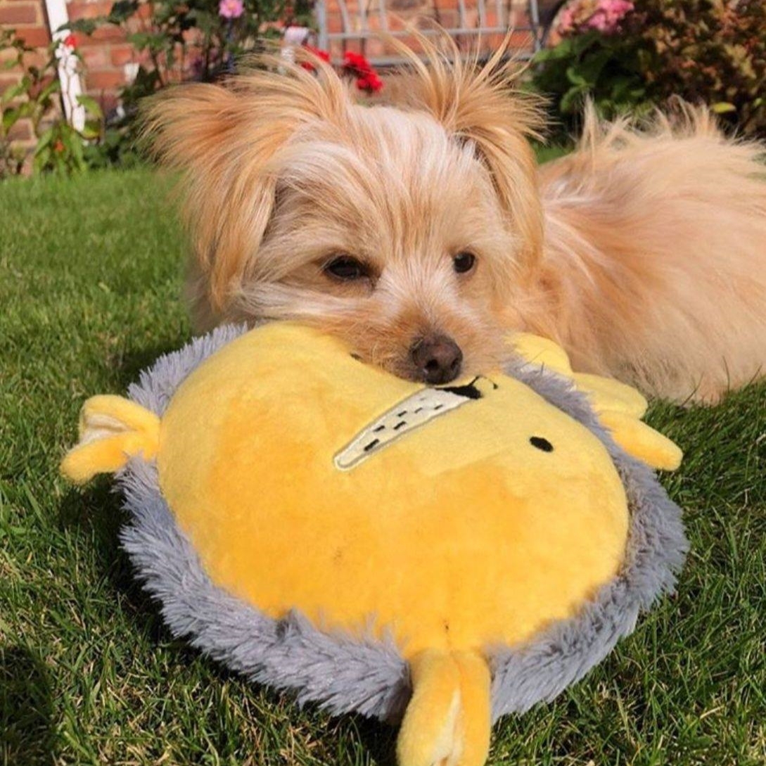 英國 Rosewood 玩具系列 -Leo Lion