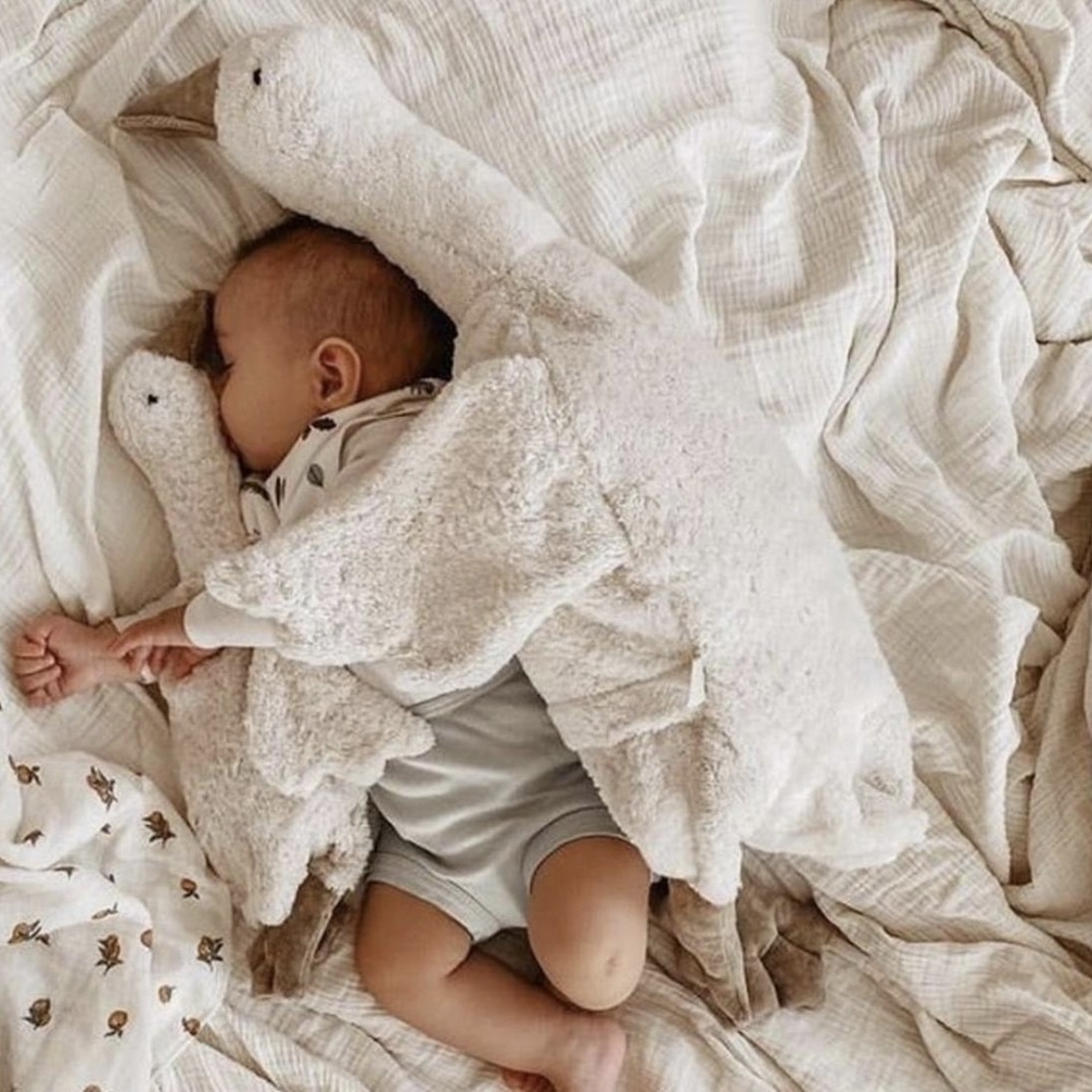 Senger Naturwelt,安撫娃娃,抱抱鵝,陪睡鵝,熊熊,海豹,娃娃,育兒,親子,玩具,禮物