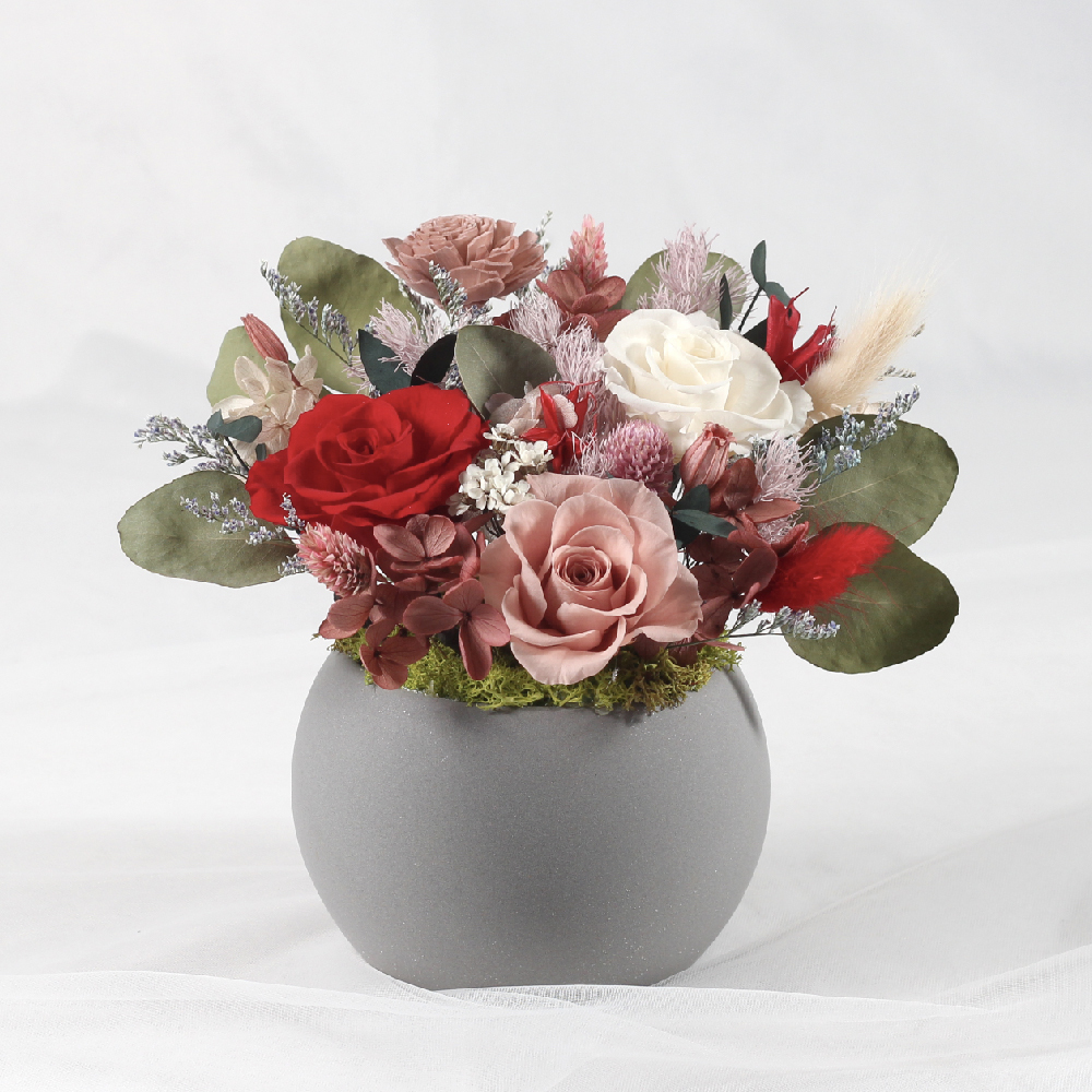 有點紅-永生花盆栽-開幕祝賀-喬遷祝賀-中型