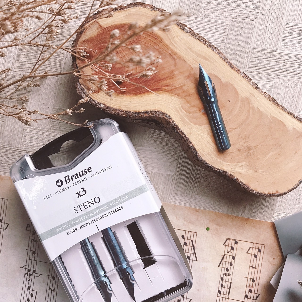 沾水筆 | 南瓜尖