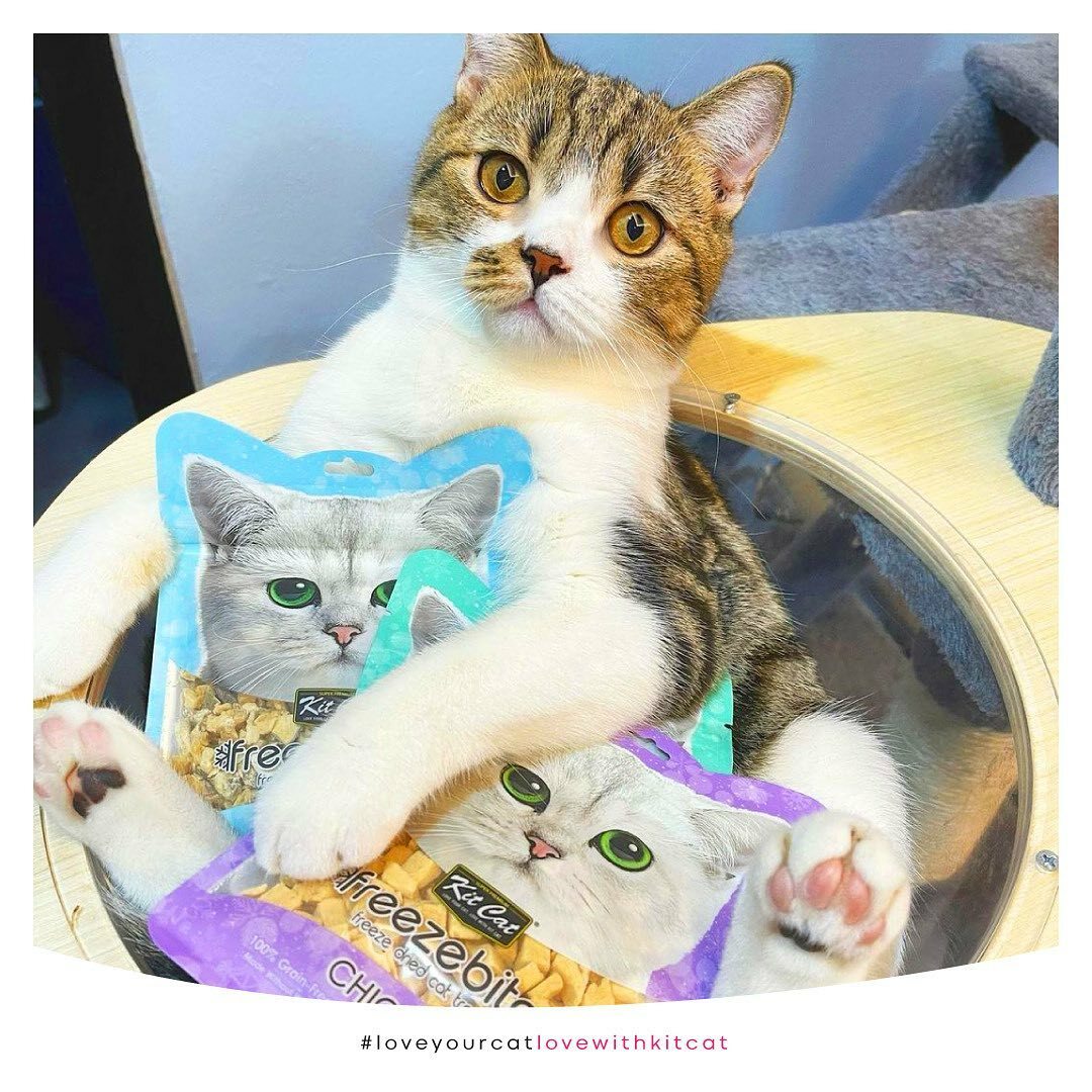 Kit Cat 低溫凍乾小食