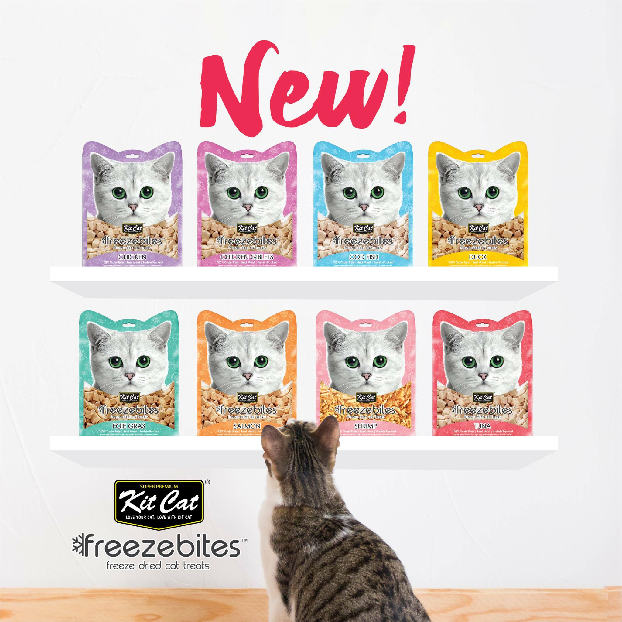 Kit Cat 低溫凍乾小食