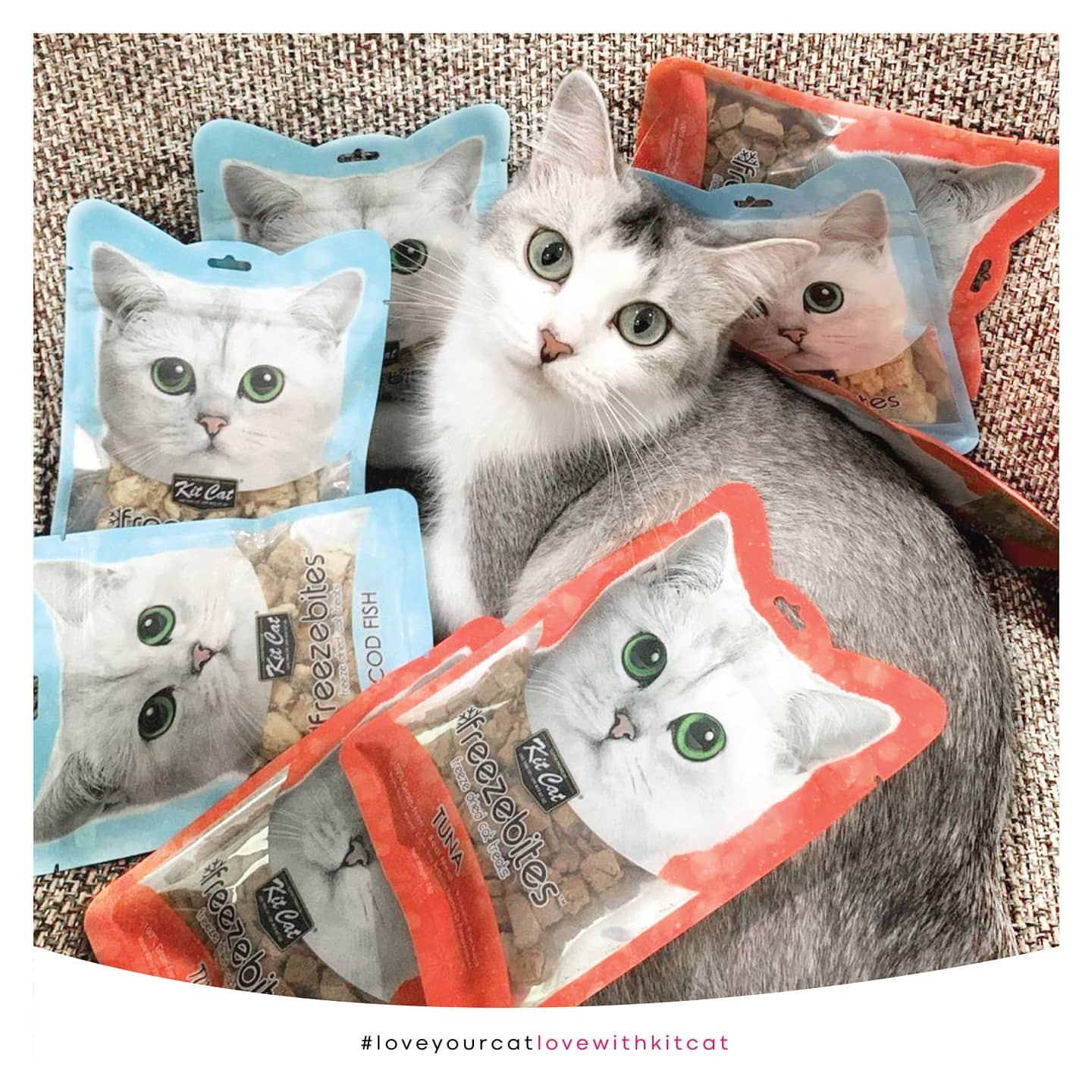 Kit Cat 低溫凍乾小食