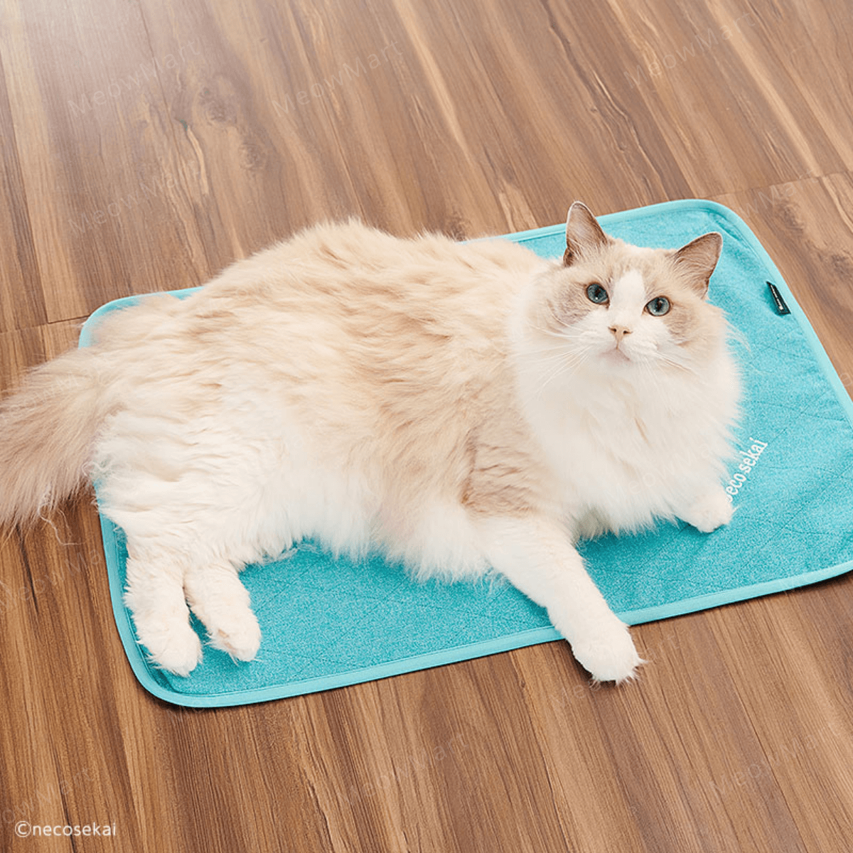 necosekai 日本降溫冰感寒冰墊 (2022最新款)