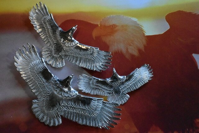 All Silver Light Eagle