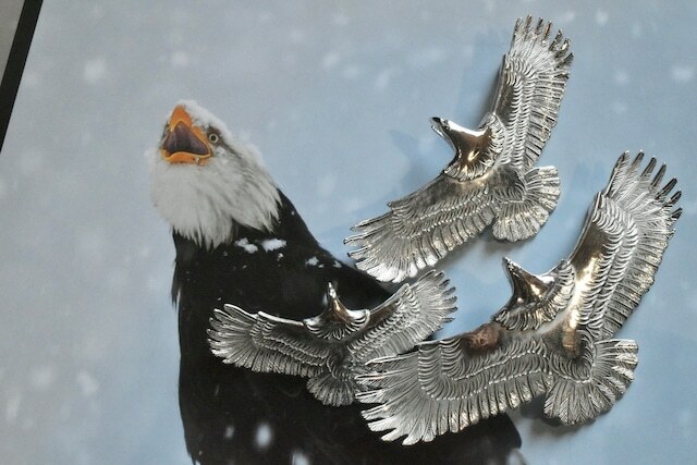 All Silver Light Eagle