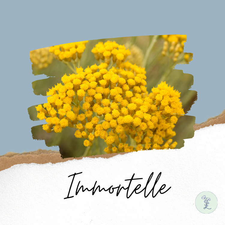 Oshadhi 永久花荷荷巴精華油